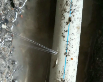 上海市卫生间测漏水多少钱