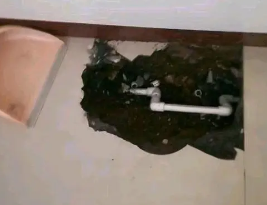 上海市卫生间测漏水多少钱